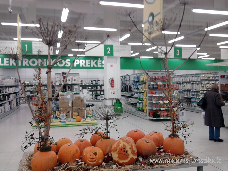 ispjaustytas moliugas